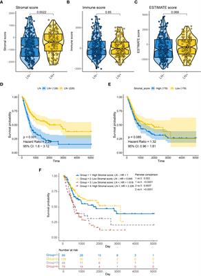 A tumor microenvironment preoperative nomogram for prediction of lymph node metastasis in bladder cancer